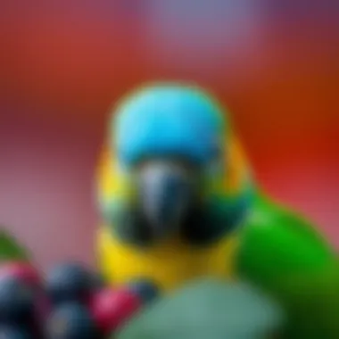 Magnificent An In-Depth Exploration of Petco Nutri Berries for Your Pets