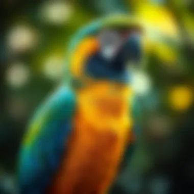 Magnificent Caring for a Macaw: A Comprehensive Guide Magnificent Caring for a Macaw: A Comprehensive Guide