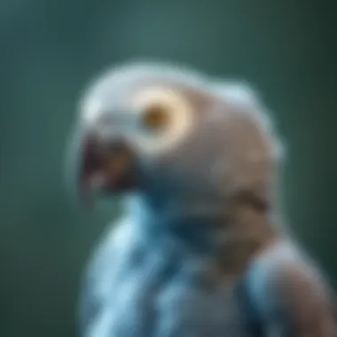 Magnificent Comprehensive Guide to African Grey Care