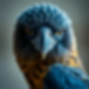 Magnificent Understanding Avian Full Spectrum Light: Importance and Applications Magnificent Understanding Avian Full Spectrum Light: Importance and Applications