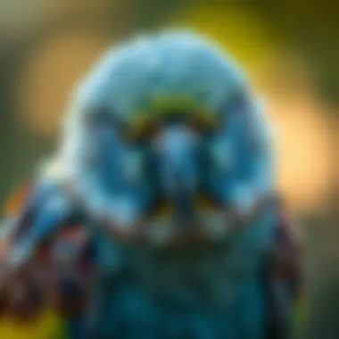 Notable A Comprehensive Guide to Avian Medications Notable A Comprehensive Guide to Avian Medications