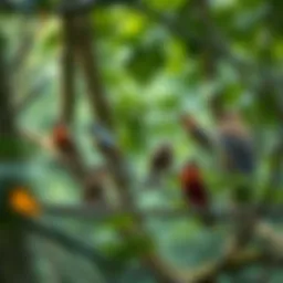 A serene forest scene with various female birds perched on branches
