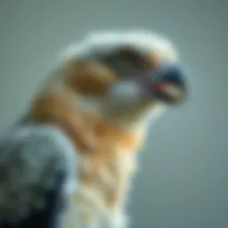 An In-depth Exploration of Avian Veterinary Care Introduction