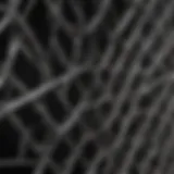 Close-up view of aviary wire panel showcasing its durability and construction material