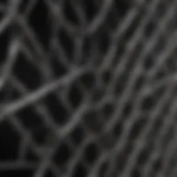 Close-up view of aviary wire panel showcasing its durability and construction material