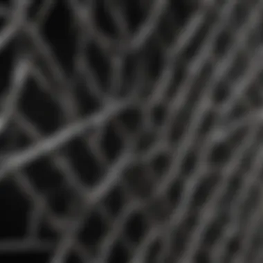 Close-up view of aviary wire panel showcasing its durability and construction material