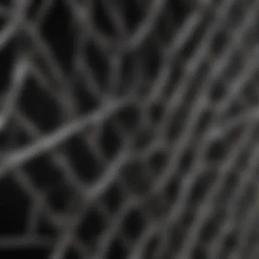 Close-up view of aviary wire panel showcasing its durability and construction material