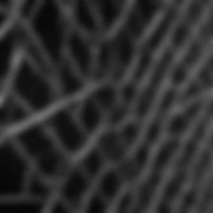 Close-up view of aviary wire panel showcasing its durability and construction material