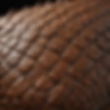 A close-up of a reptile's scaly skin, highlighting its unique texture.