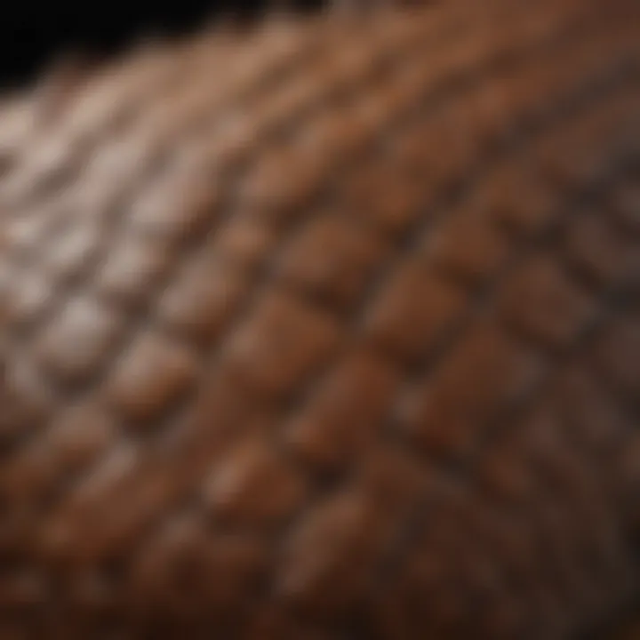 A close-up of a reptile's scaly skin, highlighting its unique texture.