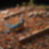 Colorful array of bird food selections in a subscription box