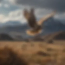 A bird soaring above a vast landscape showcasing its migration path