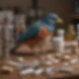 A variety of bird medical supplies including syringes, medications, and bandages