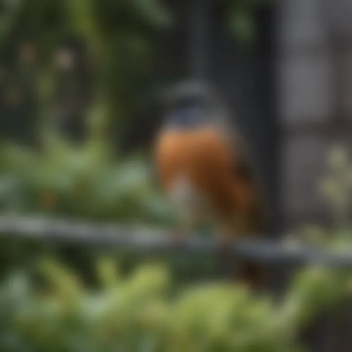 A bird perched safely on the wire mesh in a garden setting.