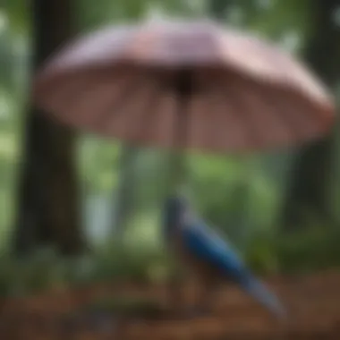 A collection of bird-themed decor integrating bird umbrellas