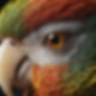 Detailed Examination of a Parrot A close-up of a vibrant parrot during a veterinary examination, showcasing the intricate details of its feathers.