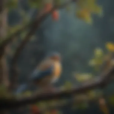 Different types of branches suitable for bird cages