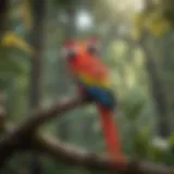 Vibrant scarlet macaw perched on a branch, showcasing its colorful feathers