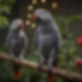 African Grey Parrot perched on a branch looking healthy and vibrant