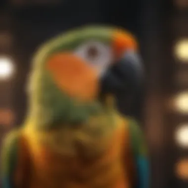 Essential features of a medium-sized parrot cage