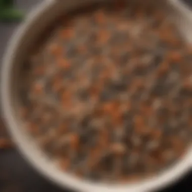 Close-Up of Fresh Seeds in Covered Dish A close-up view of a covered bird food dish with fresh seeds.