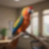 A colorful parrot perched on a branch in a veterinary clinic