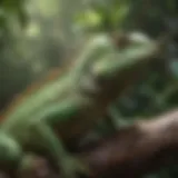 A vibrant green iguana perched on a branch, showcasing its unique features