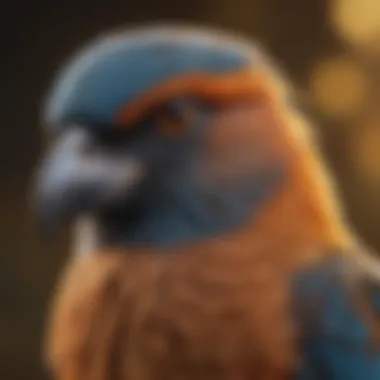 Close-up of unique bird characteristics such as feathers and beak