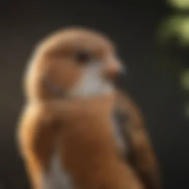 Utilizing Bird Breed Finder Tools An individual using a bird breed finder tool on a digital device