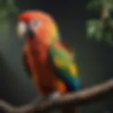 A vibrant parrot perched on a branch, showcasing its colorful feathers