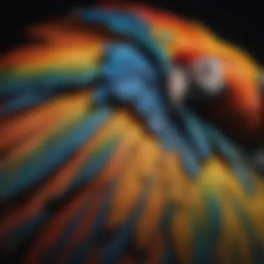 Colorful macaw showcasing its feathers