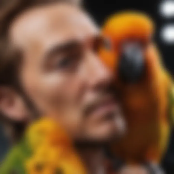 Close-up of a sun conure interacting with its owner