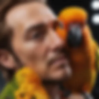 Bonding Moments with Your Sun Conure Close-up of a sun conure interacting with its owner