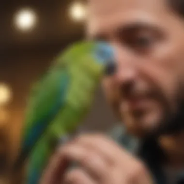 Parakeet interacting with its owner