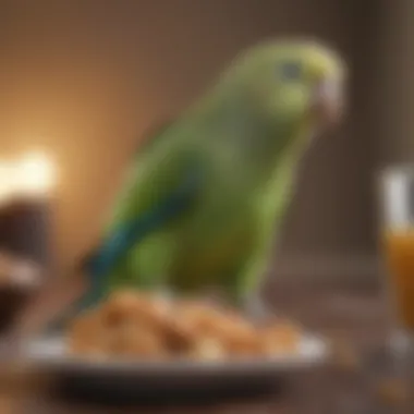 Parakeet enjoying a nutritious meal