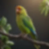 A vibrant parakeet perched on a branch, showcasing its bright plumage.