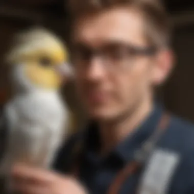Cockatiel and Trainer Interaction A trainer interacting with a cockatiel, demonstrating positive reinforcement techniques