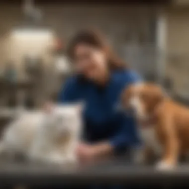 Local Veterinary Staff Discussing Services with a Pet Owner Local veterinary staff discussing services with a pet owner