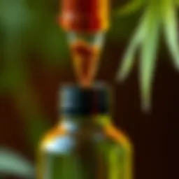 A close-up view of bird hemp oil in a glass dropper bottle