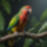 Vibrant Amazon parrot perched on a branch