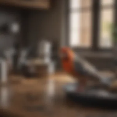 Regulatory standards for cookware safety visualized