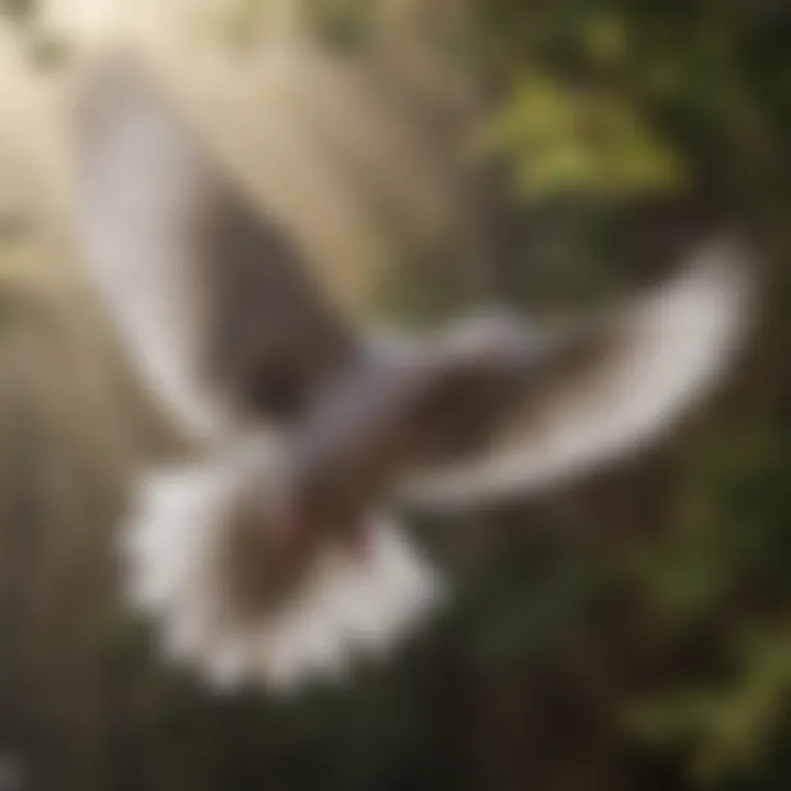 A close-up of a dove in flight, capturing the grace and beauty of its wings.