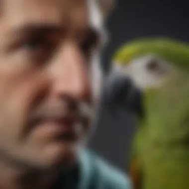 Parrot interacting with its owner