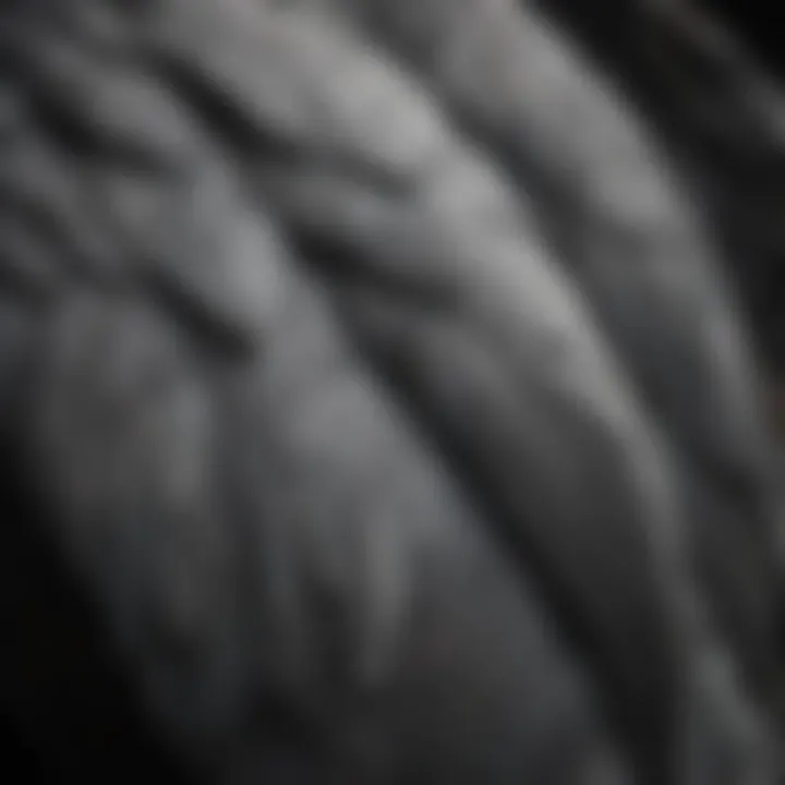 Close-up of African Grey Parrot's feathers