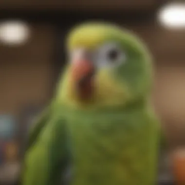 A guidebook on parakeet care with essential tips and information.