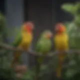 Colorful parakeets perched together, showcasing their vibrant plumage.