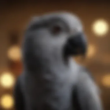 A charming African Grey parrot demonstrating intelligence and social interaction.