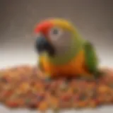 A close-up of high-quality conure pellet food showcasing its vibrant colors and textures.