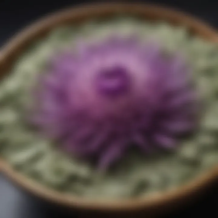 Close-up of milk thistle powder in a decorative bowl