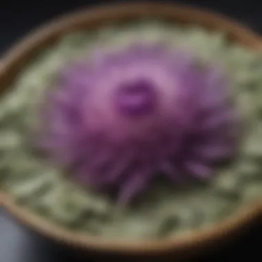 The Rich Texture of Milk Thistle Powder Close-up of milk thistle powder in a decorative bowl